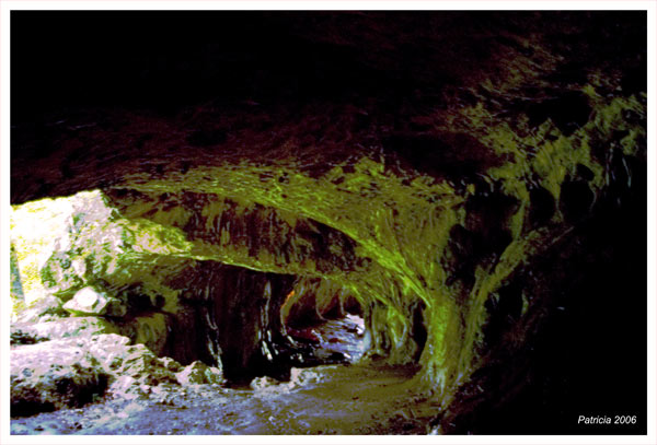 Image Hosted by ImageShack.us